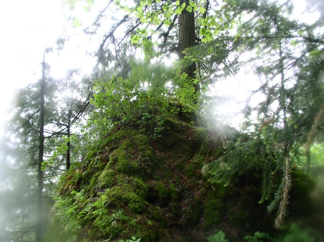 5.7.06 Wauna Point 034 